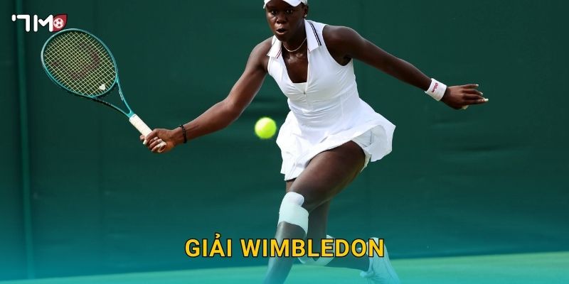 Giải Wimbledon 7M – Thông Tin, Dự Đoán Và Soi Kèo Tennis 2025 22 Giải Wimbledon 7M – Thông Tin, Dự Đoán Và Soi Kèo Tennis 2025
