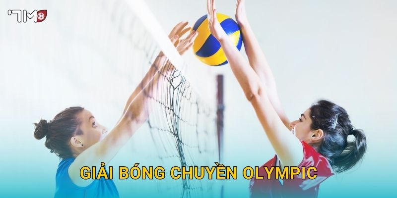 Giải Bóng Chuyền Olympic 7M – Dự Đoán Kết Quả Và Kèo Thắng Lớn 2025 19 Giải Bóng Chuyền Olympic 7M – Dự Đoán Kết Quả Và Kèo Thắng Lớn 2025